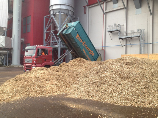 Die Stadtwerke Leipzig bewirtschaften in Piesteritz/Wittenberg (Sachsen-Anhalt) ein Biomasseheizkraftwerk auf Waldrestholz-Basis.