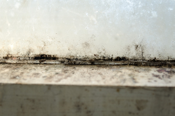 Schimmelbefall, wie hier am Fensterrahmen, ist häufig ein Anzeichen für das Vorhandensein von Wärmebrücken. Sind sie beseitigt, hat der Pilz kaum noch eine Chance, sich festzusetzen.