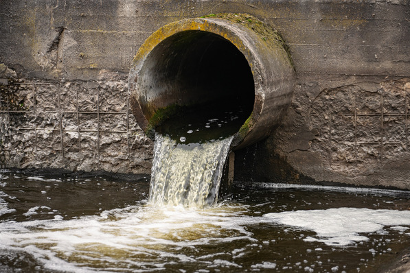 © andrei310 - stock.adobe.com