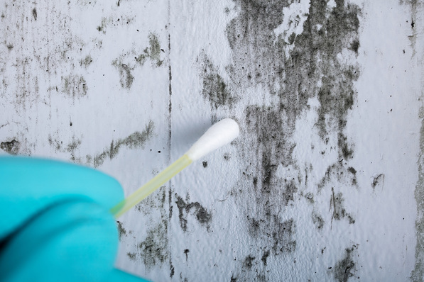 In Deutschland sind laut einer aktuellen Marktstudie ca. 10% der Wohnungen von Schimmelpilzbefall betroffen. Dies entspricht ca. 4,3 Mio. Wohnungen pro Jahr.