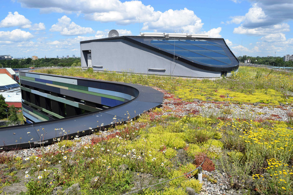 Beispiel eines extensiv begrünten Daches: Diese Art der Begrünung gilt als eher pflegeleicht, kann weitgehend sich selber überlassen werden.