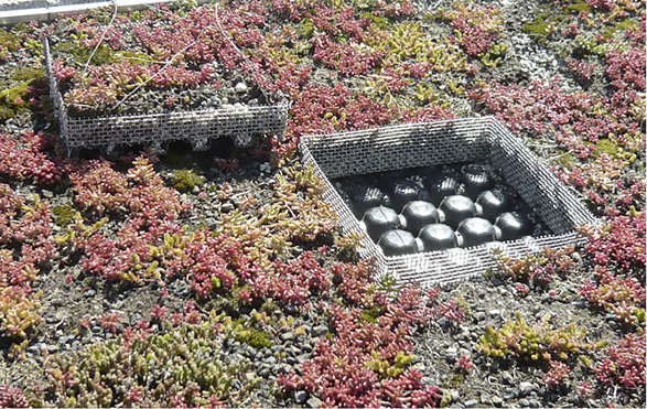 © Foto: Fraunhofer-Institut für Bauphysik, Holzkirchen

