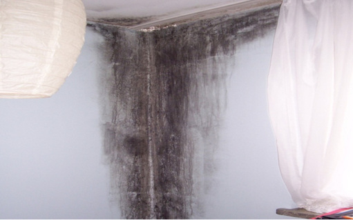 



1
 Ist der Mindestwärmeschutz bei einem Gebäude nicht gewährleistet, weil der in der DIN 4108-2 geforderte Grenzwert f
Rsi
 von 0,7 unterschritten wird, kann es nach einer Sanierung leicht zu erheblichem Schimmelbefall kommen.
