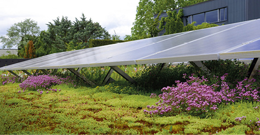 



Das Photovoltaik-System wird ohne Durchdringung der Dachhaut installiert. Für die Sicherung gegen Windlast wird nur die Auflast der Vegetation angesetzt.
